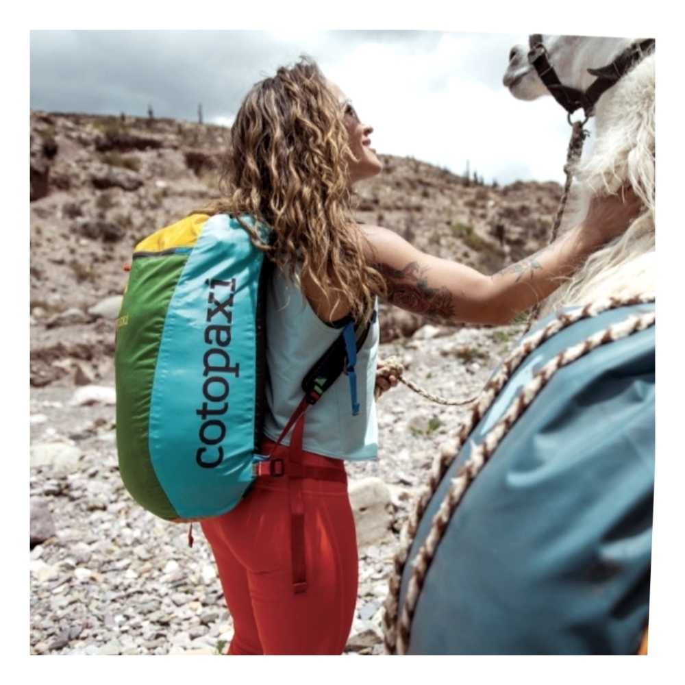 ❌️ SOLD - Picture 10 of 11